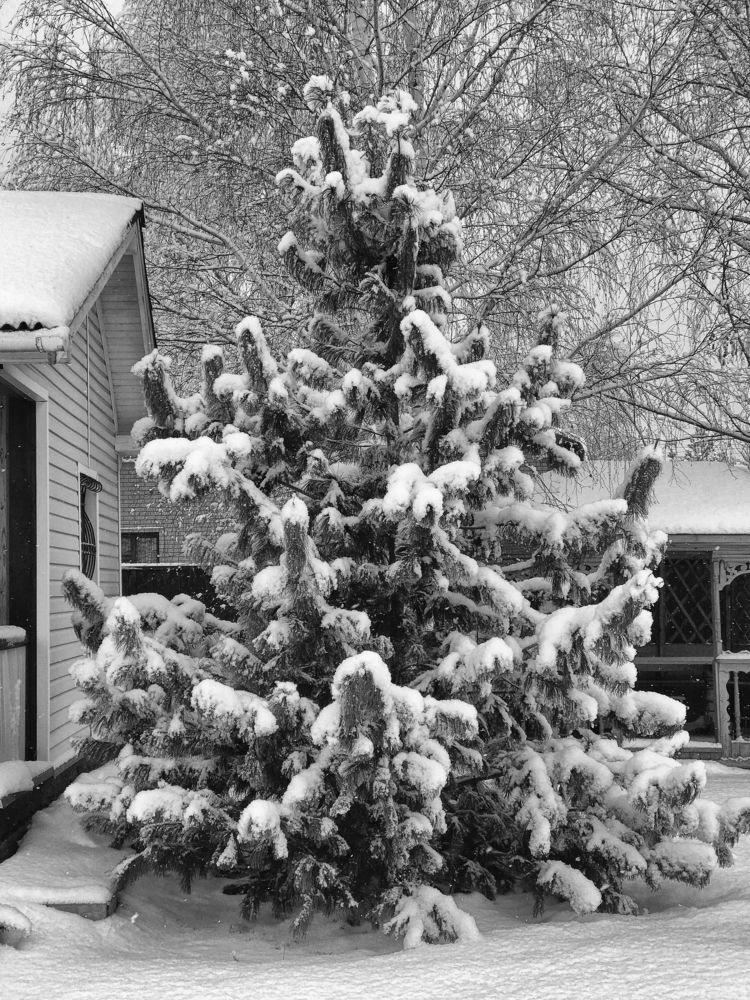 Photograph by Сергей Носов