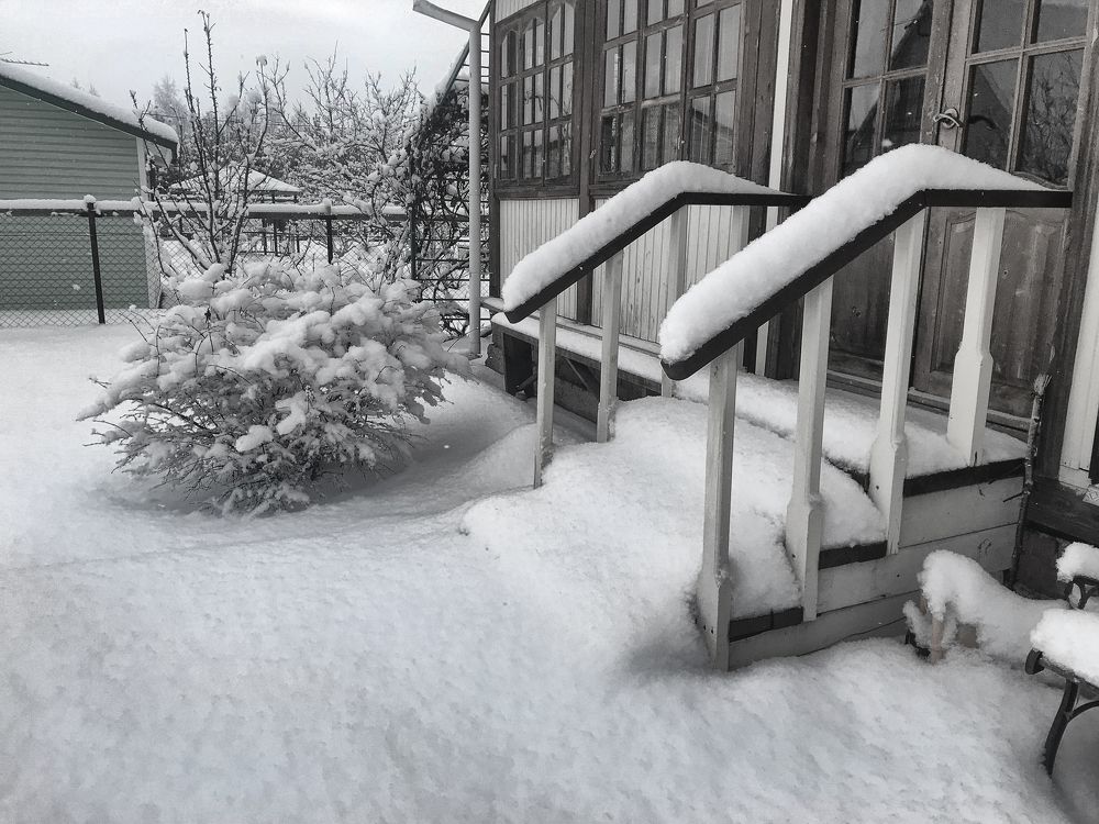 Photograph by Сергей Носов