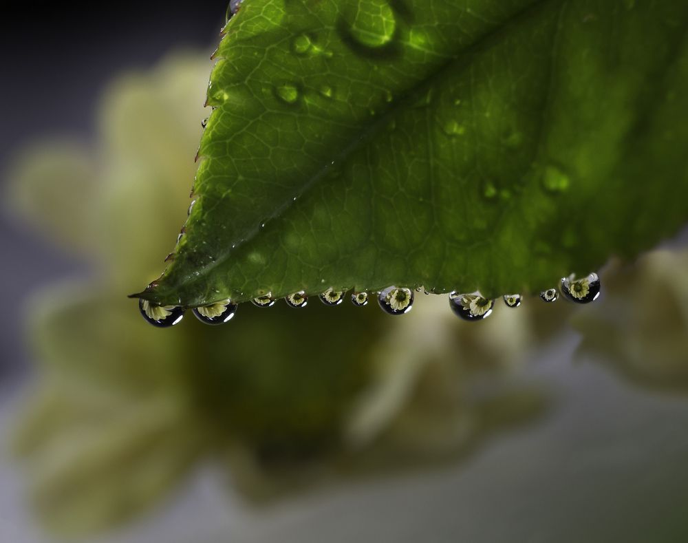 Маленькие тайны капли воды