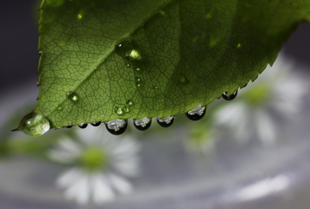 Маленькие тайны капли воды