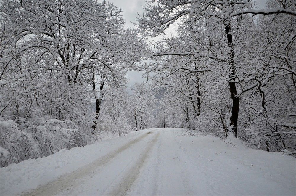 Дорога дальняя...