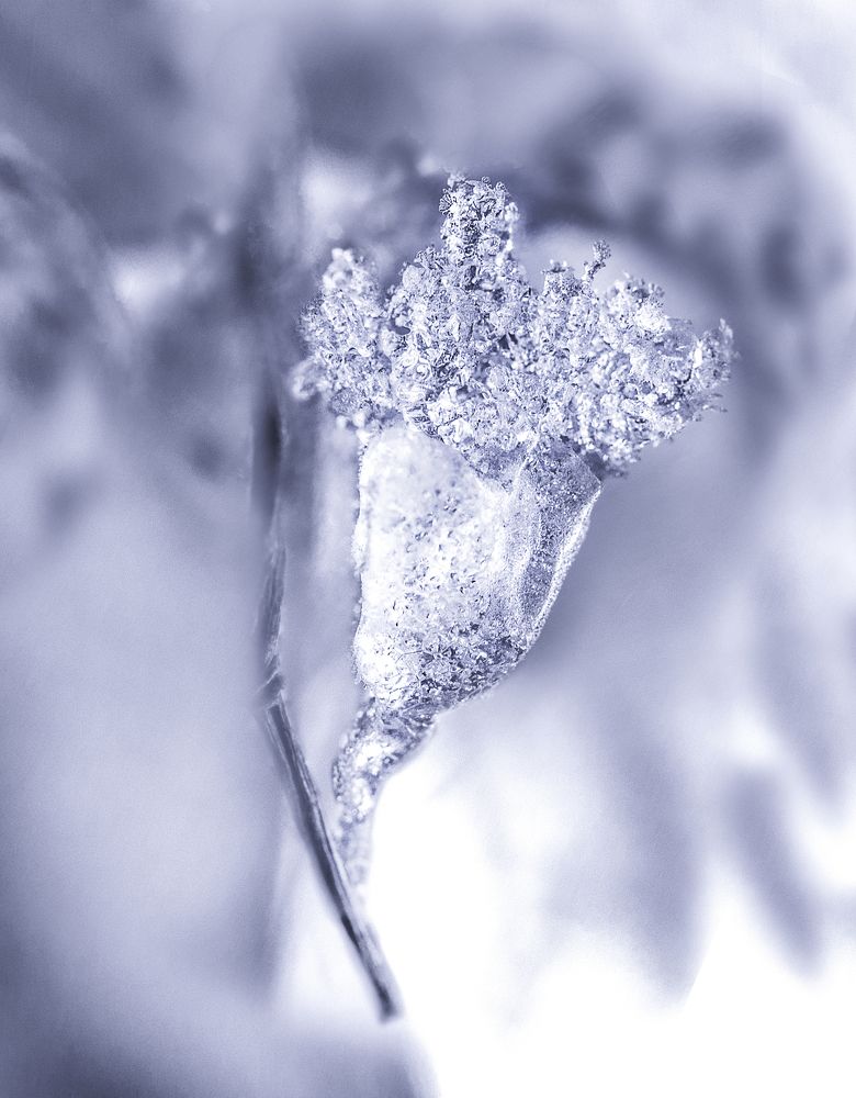 Забавы зимы