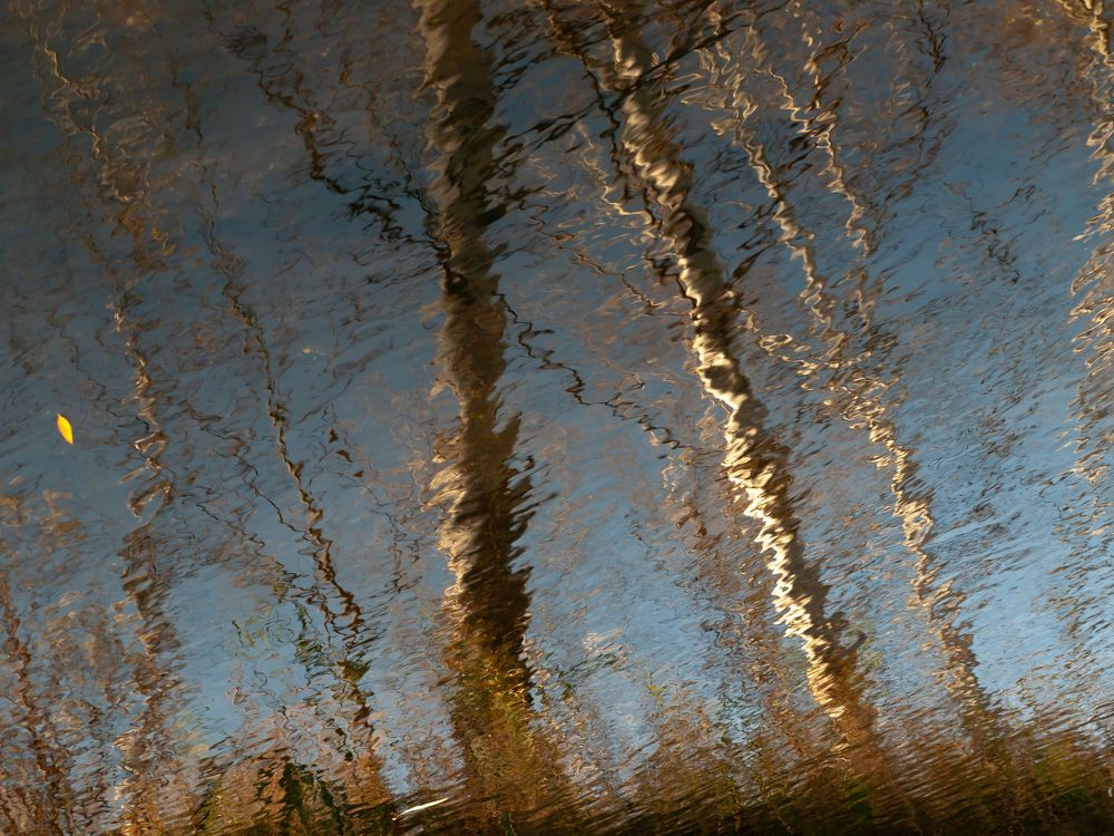 Акварели осени