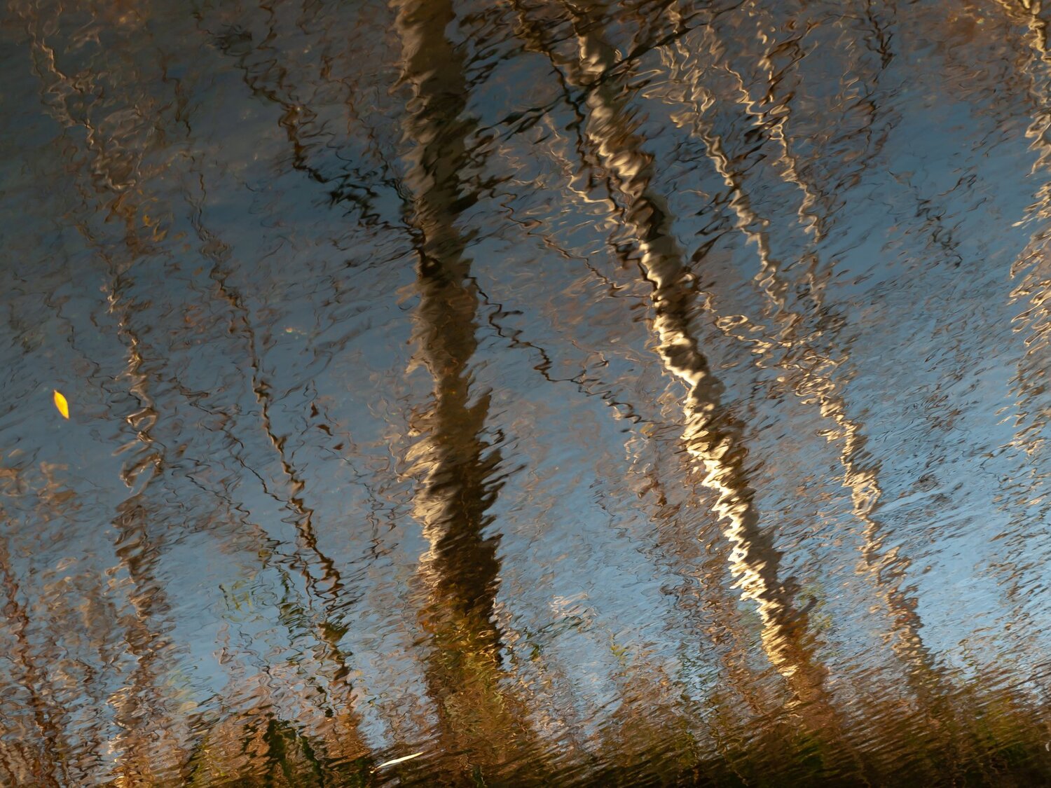 Акварели осени