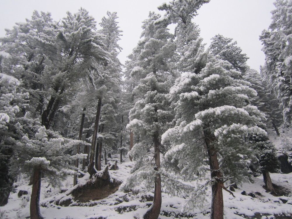 Sirren Valley, Pakistan.
