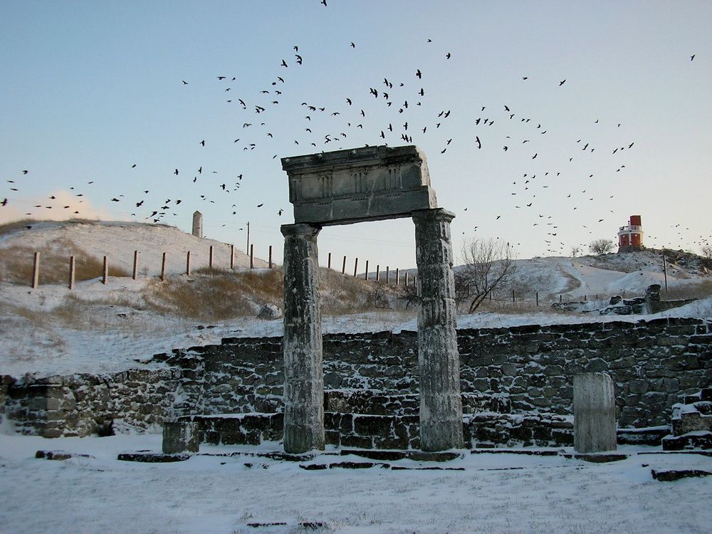 Время и птицы.