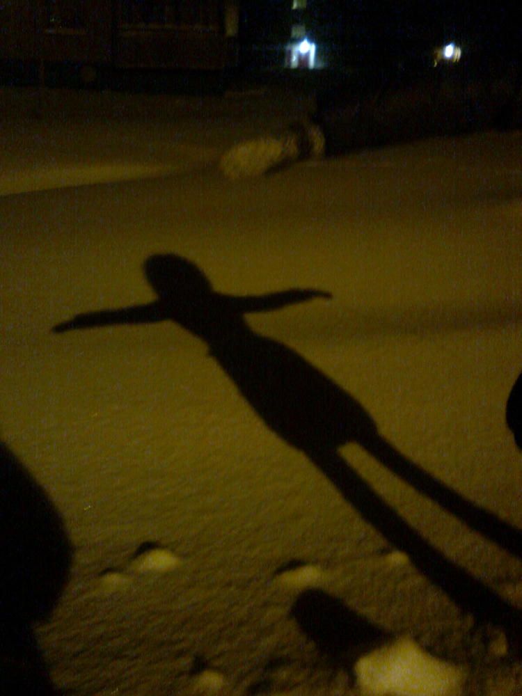 Снежная тень