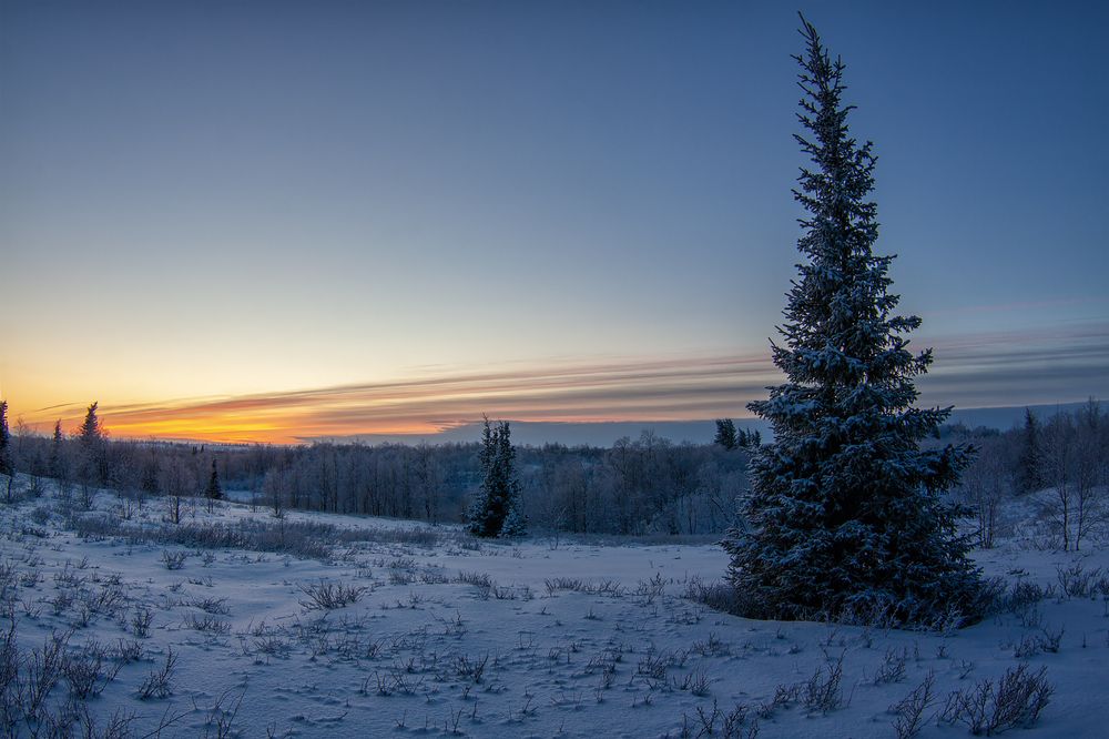 Неотпускающие солнце