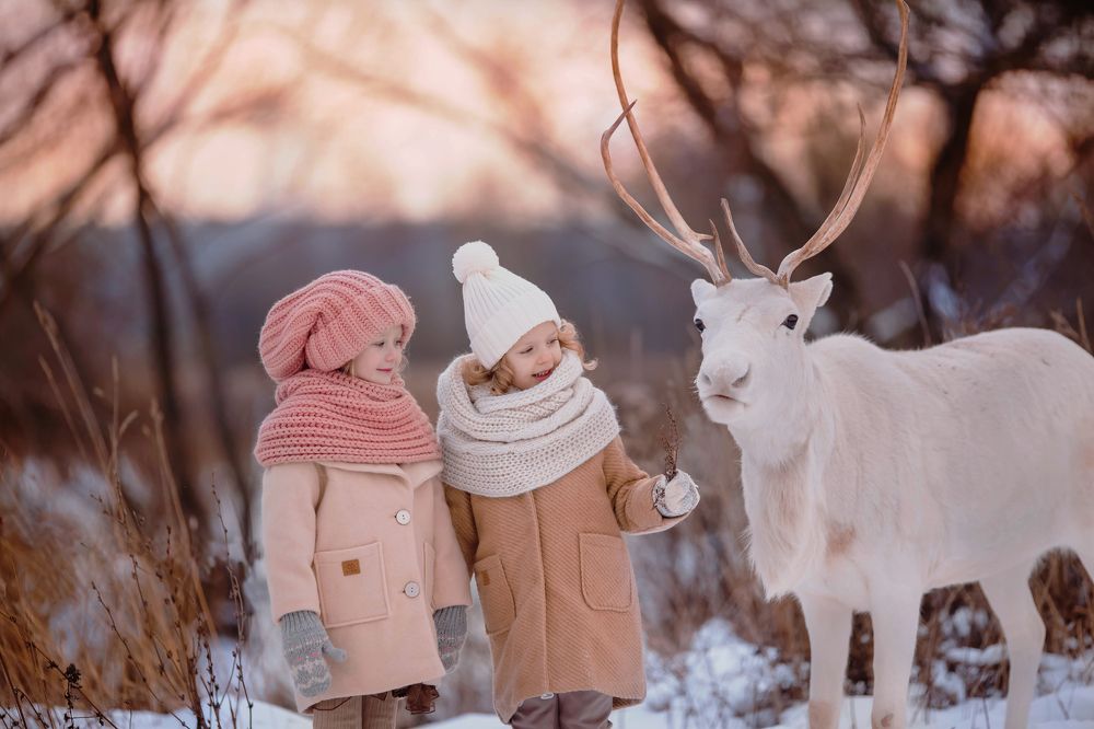 Photograph by Мария Демидова