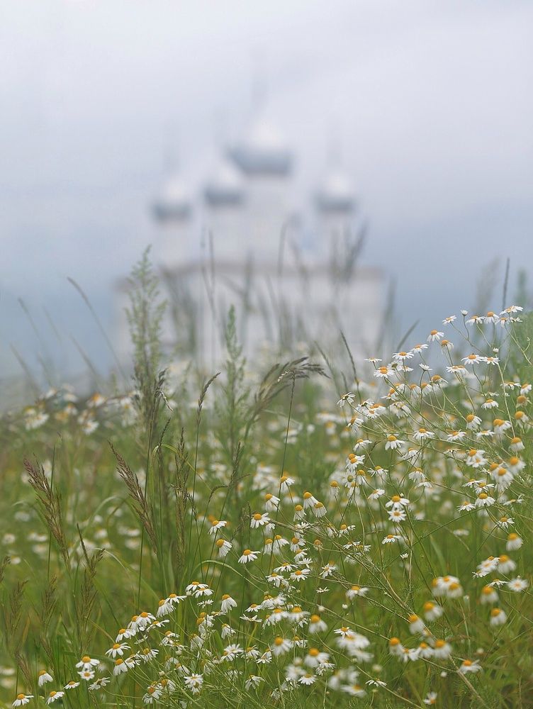 Из России с любовью