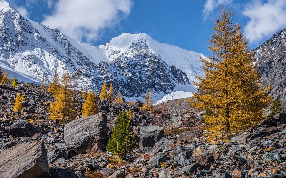 Красоты  Алтая