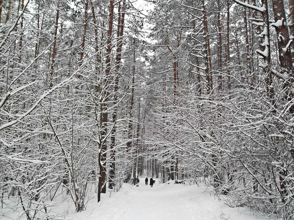 Photograph by Наталья Цуран