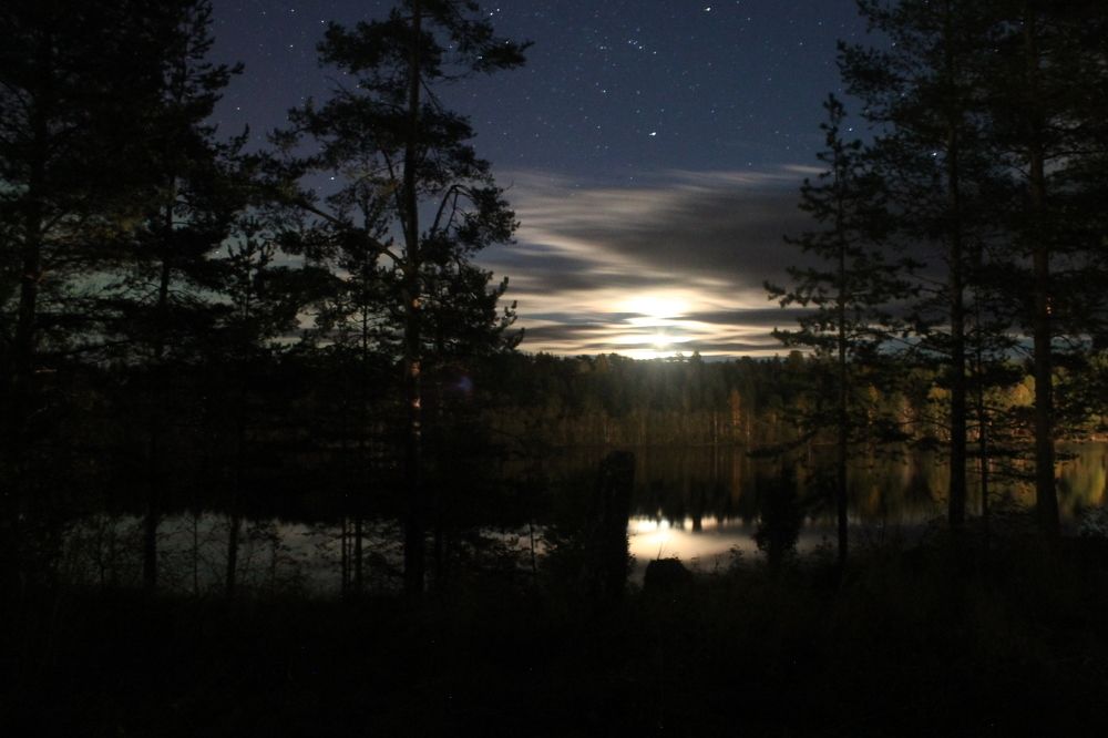 Photograph by Филиппов Олег