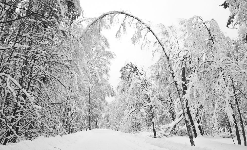 Зима в Подмосковье