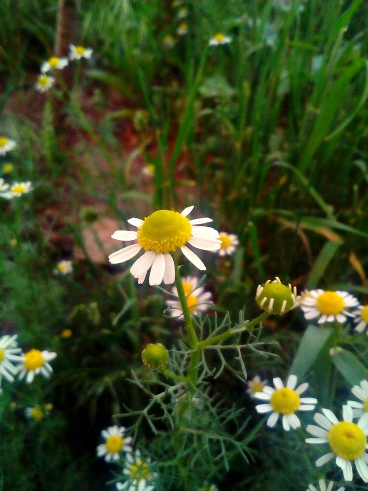 Photograph by Валерий Терехов