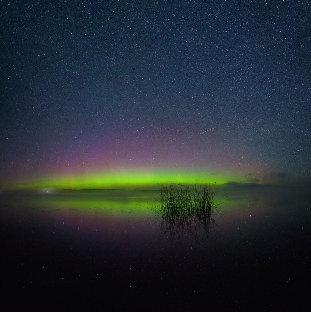 "Аврора над прудом"