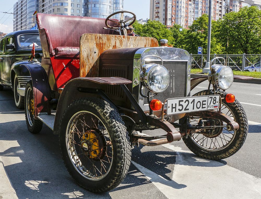 Антилопа Гну