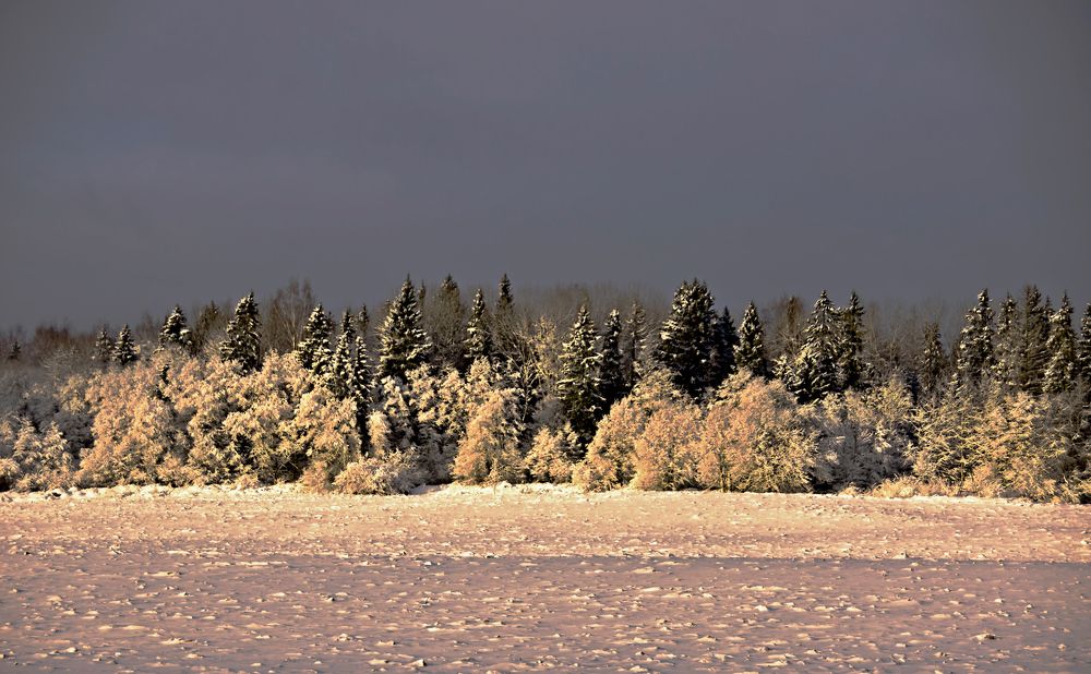 Зимний вечер