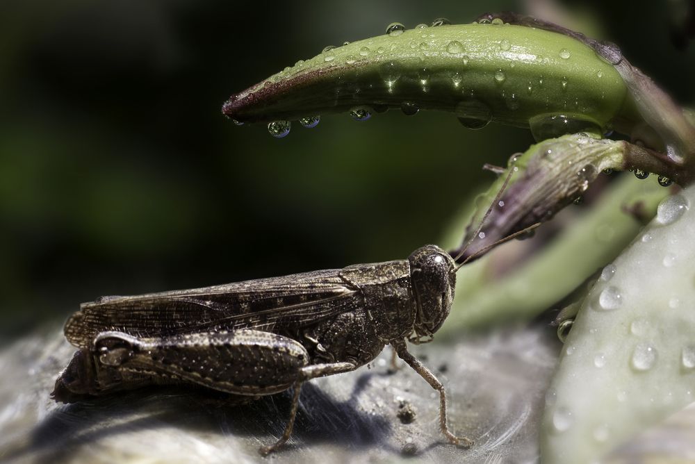 водные процедуры