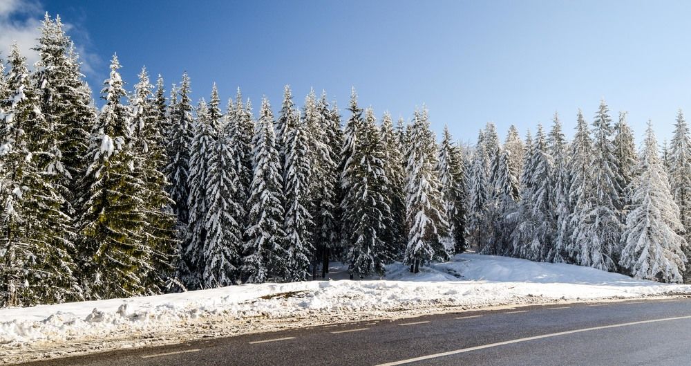 Winter on the mountain road