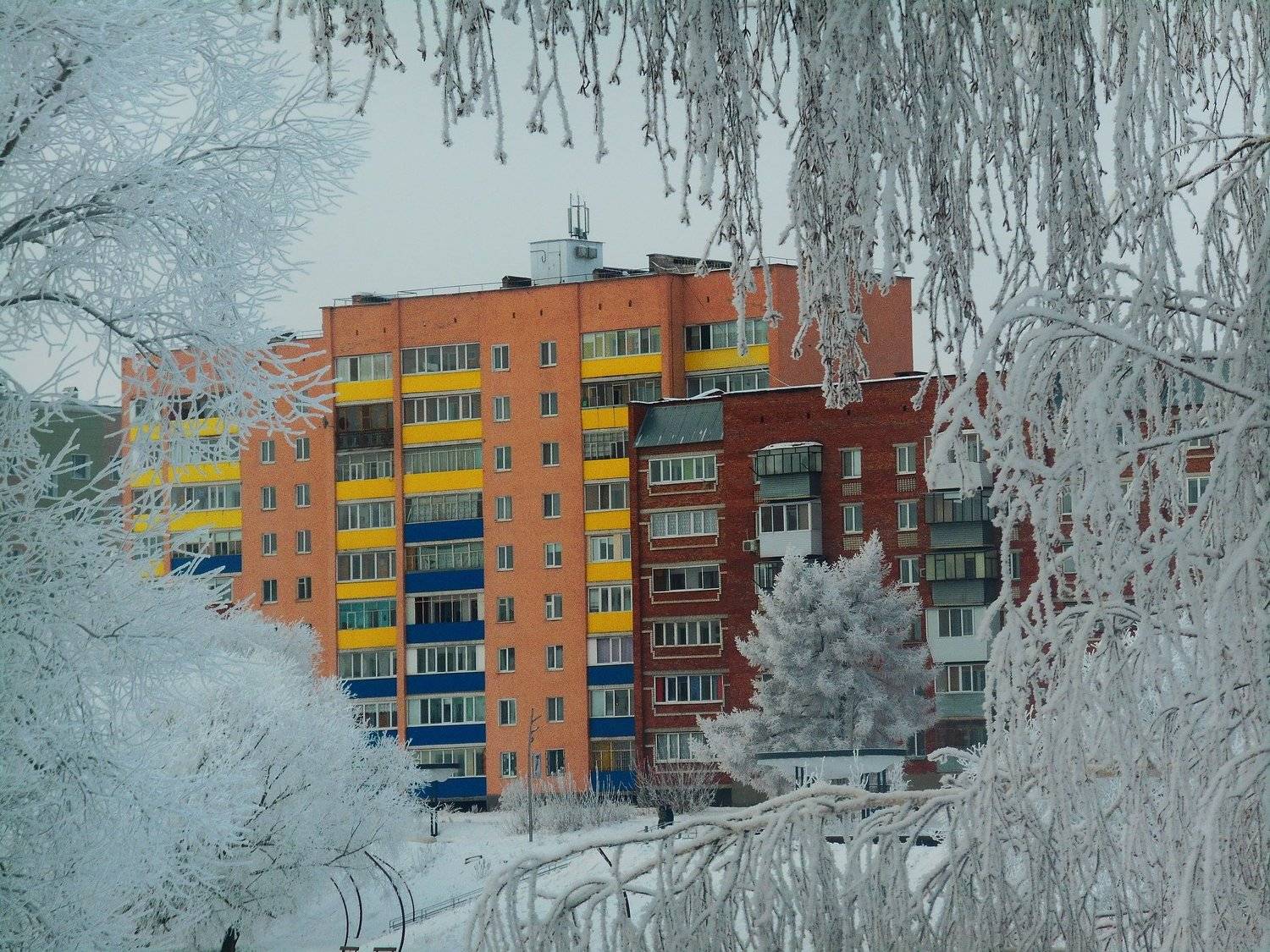 Зимние кружева.