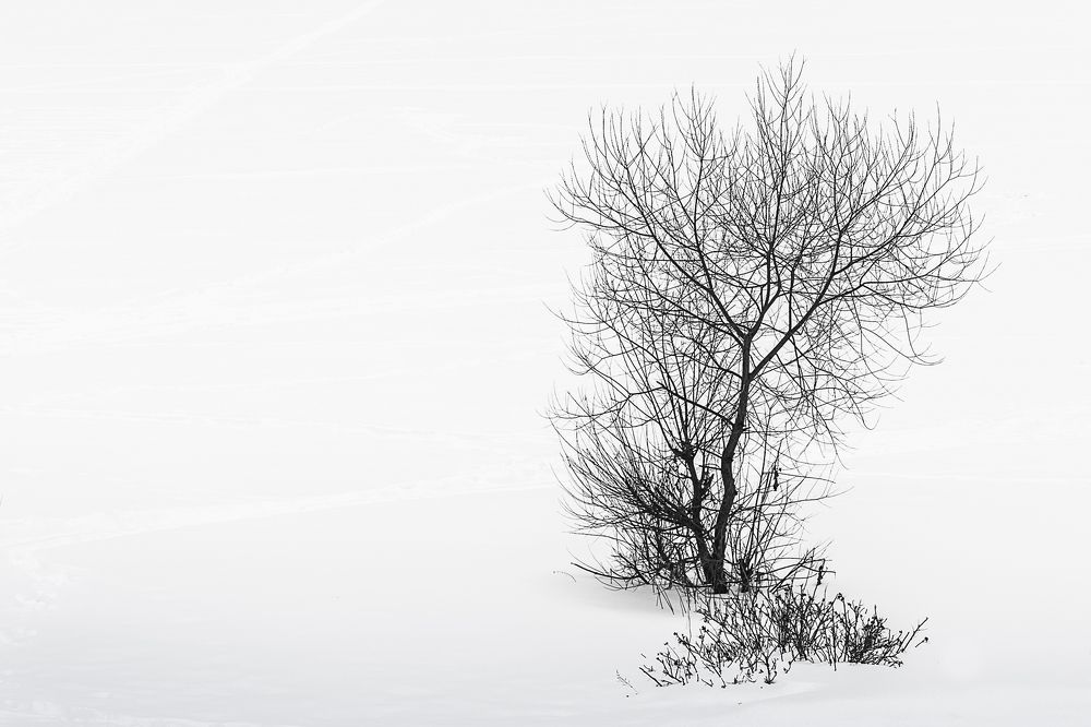 Одиночество