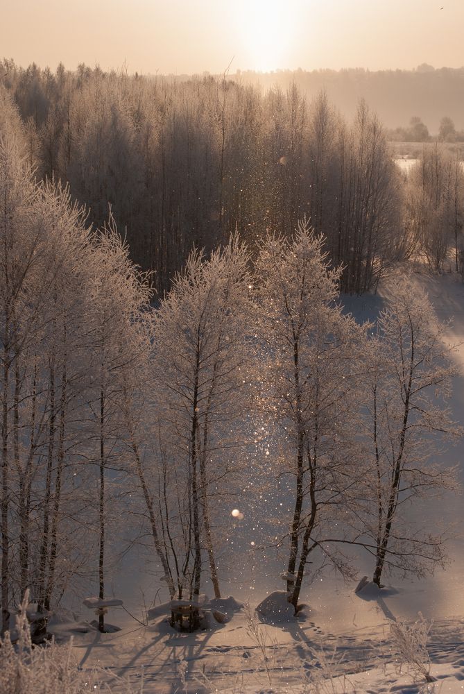 Зимнее утро