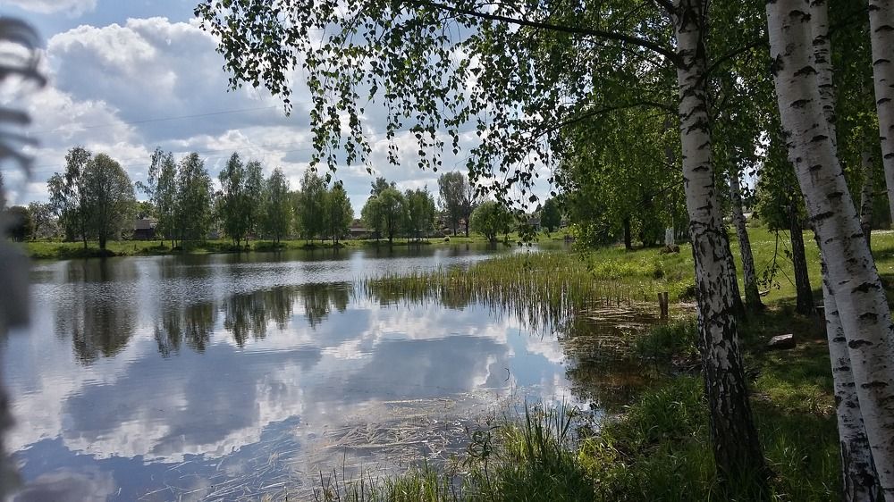 Photograph by Дмитрий Нестерович