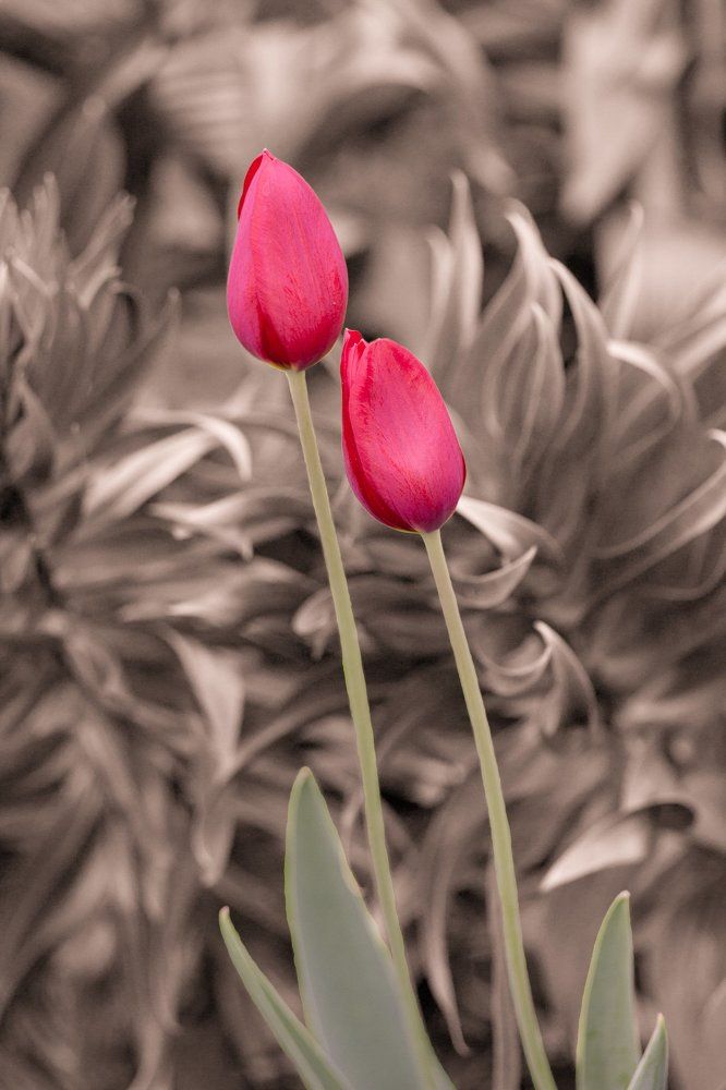 Photograph by Андрей Лекомцев