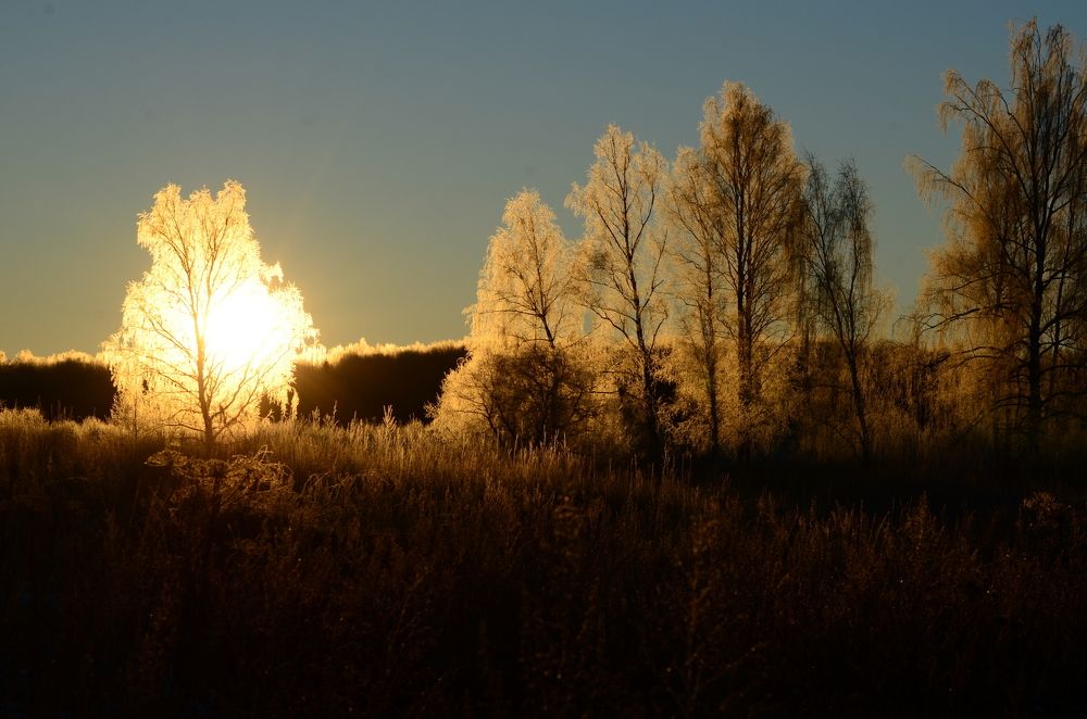 Утро красит нежным цветом...