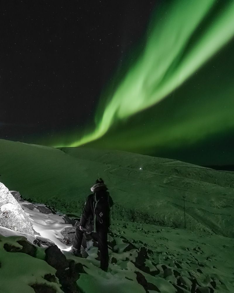 Было очень зелено