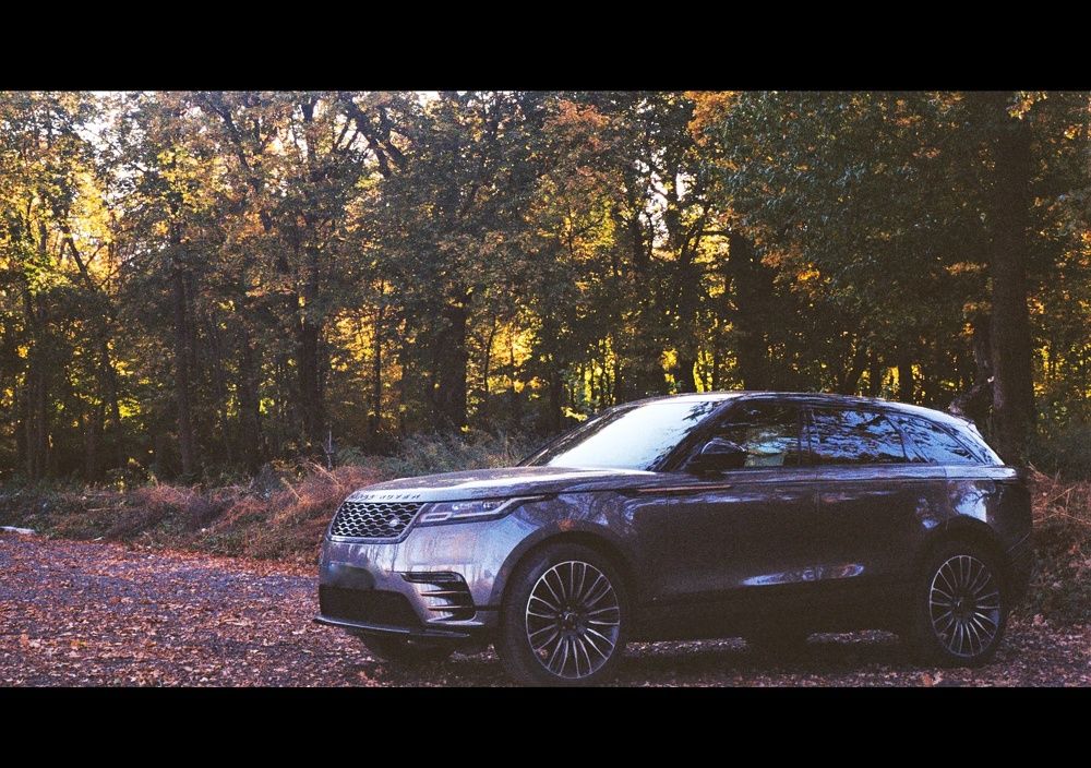 Luxury in forest