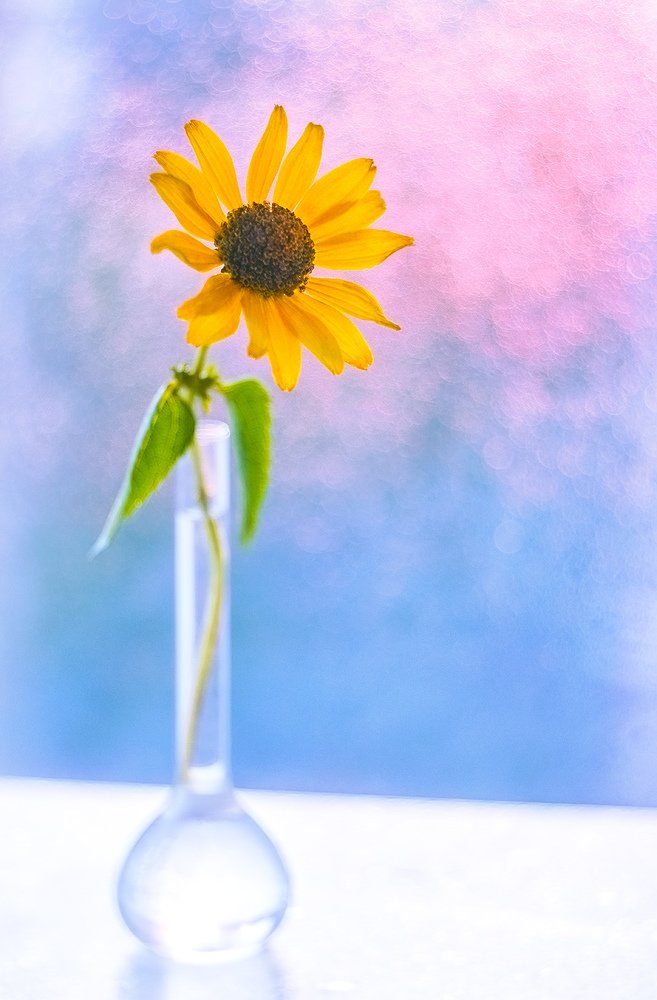 Photograph by Никанорова Ольга