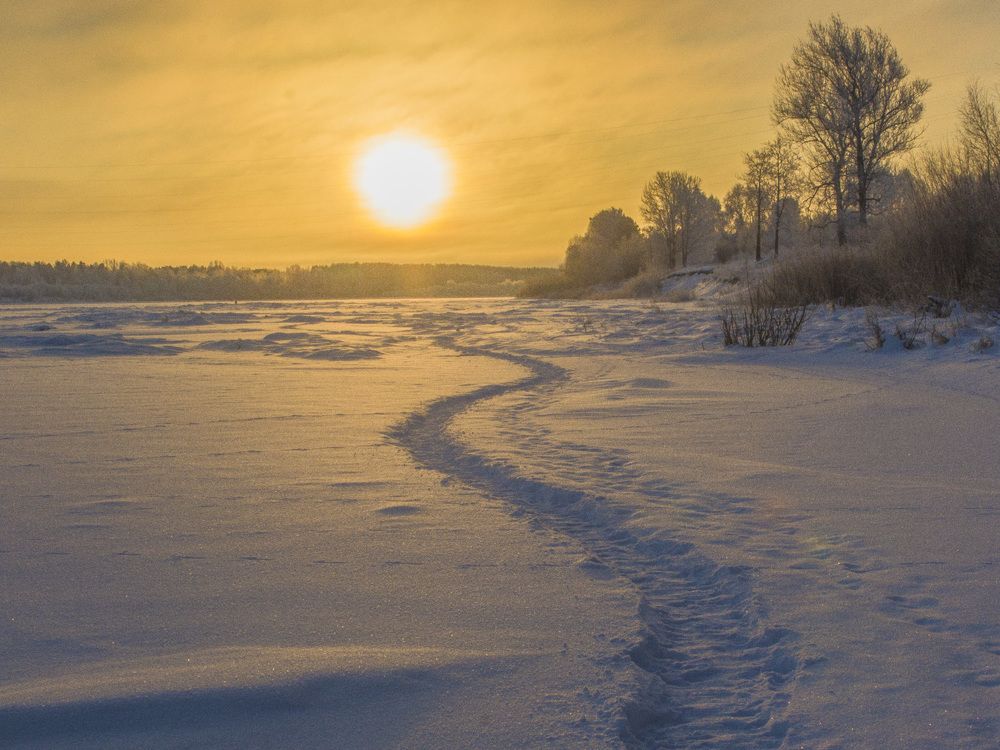 Зимним утром