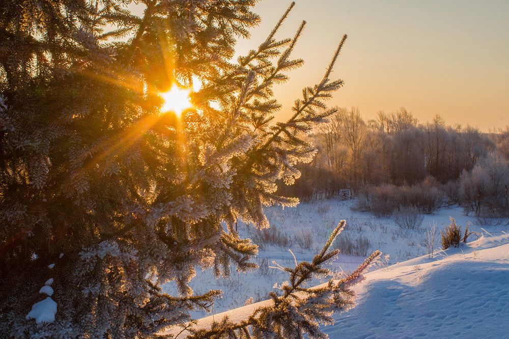 Зимнее солнышко
