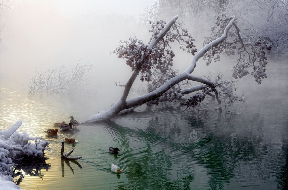 Утро в старом парке