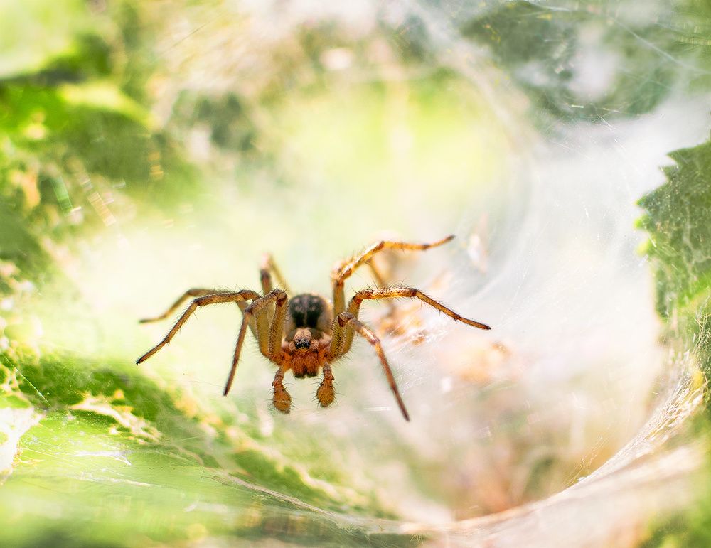 Photograph by Никанорова Ольга