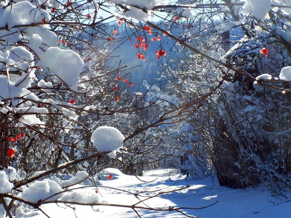 Photograph by Alexandr Zhyltsov