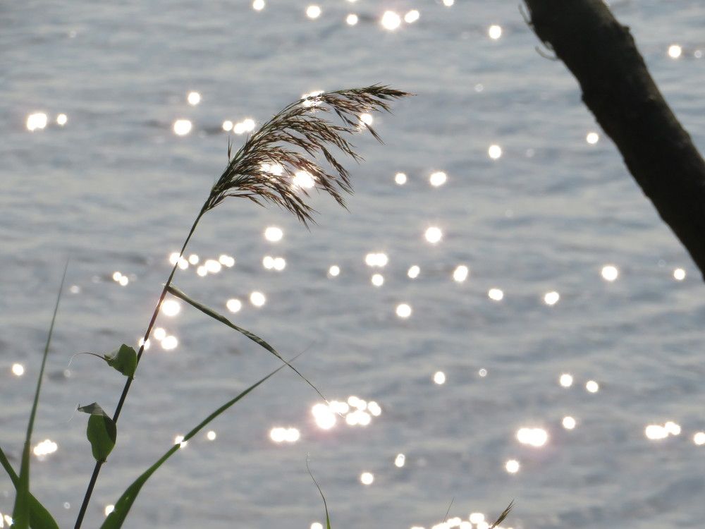 Солнечное море.