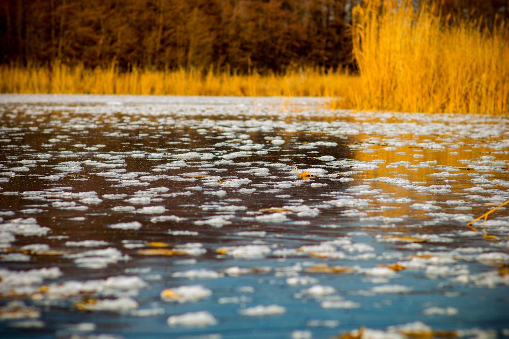 Photograph by Алексей Потехин