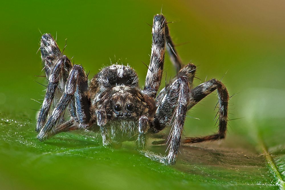 Я слежу за вами