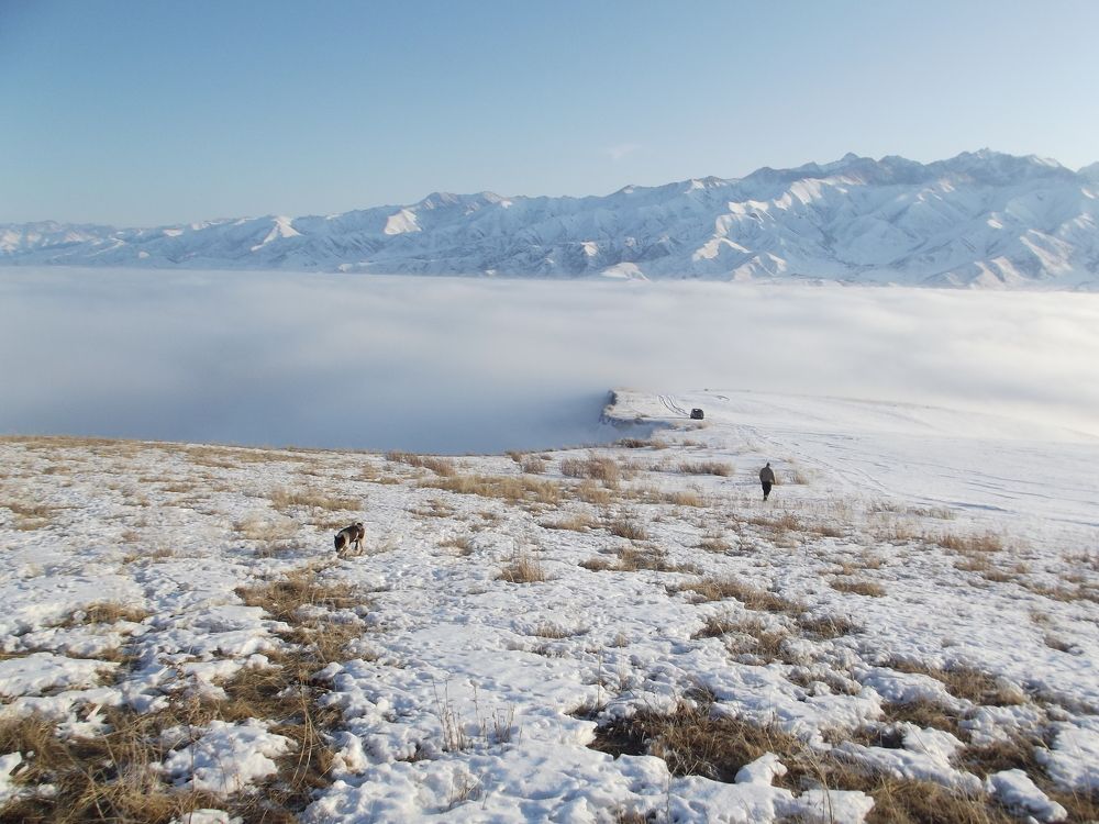 Над облаками