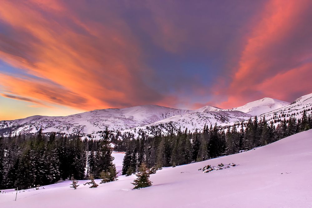 Розовый рассвет на Драгобрате