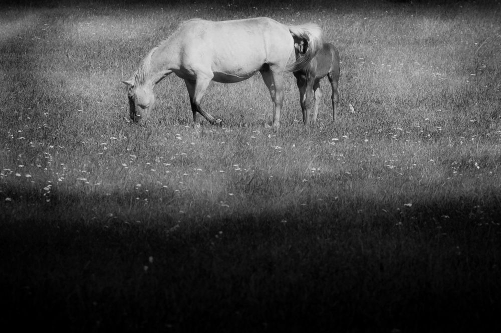 Страх и любопытство