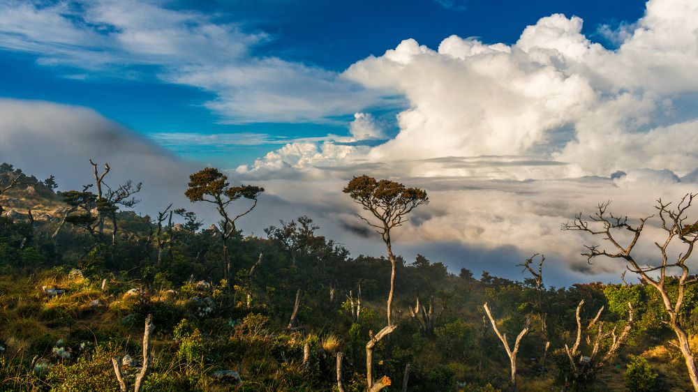 Puncak Gunung Bawakaraeng