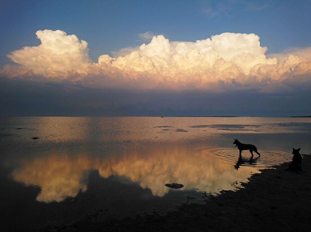 Лиман. Перед грозой.
