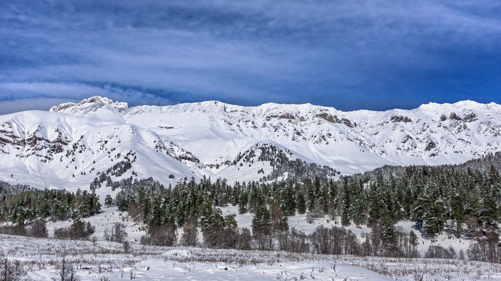 Зима пришла!