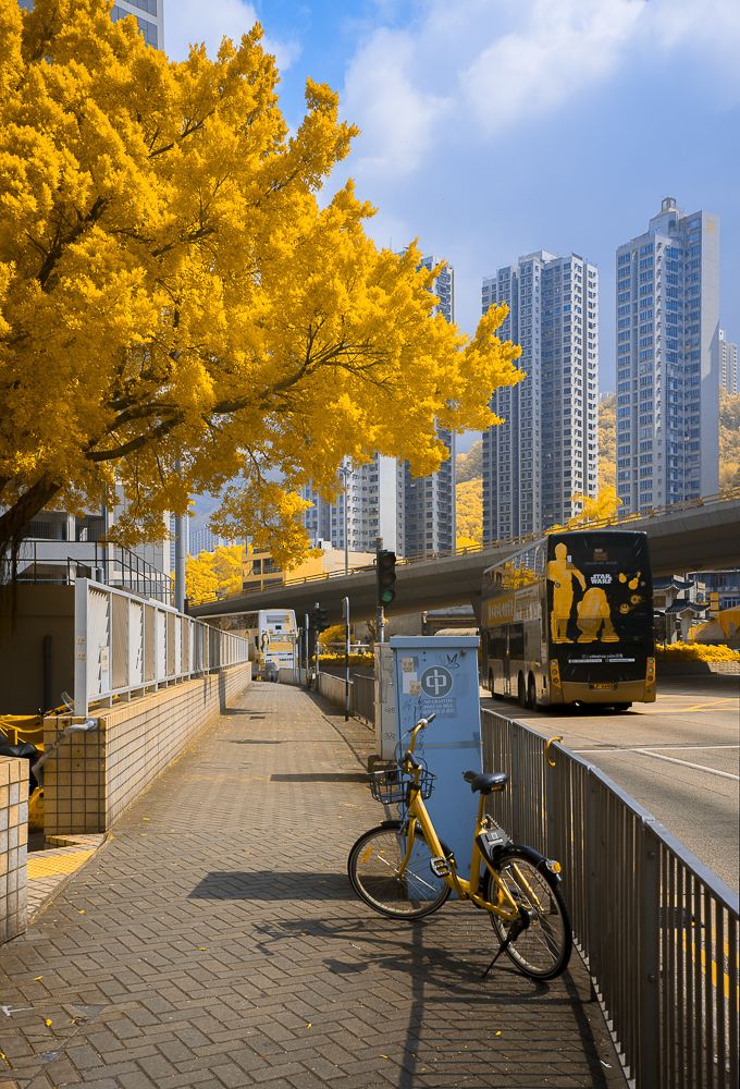 Hong Kong - The golden city