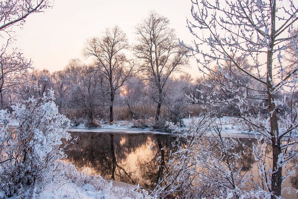 Протоки Иртыша
