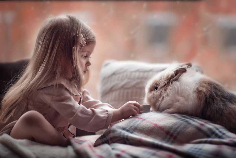 Живая игрушка